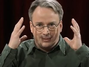 Linus Torvalds aprovou a exclusão 