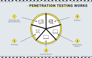Este diagrama mostra os estágios e componentes do teste de penetração.