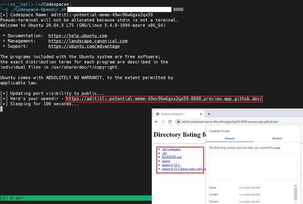 Malware em codespaces GitHub