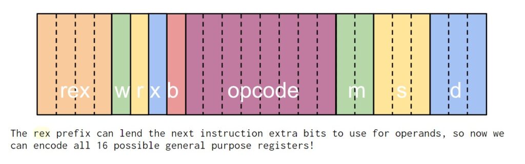 Vulnerabilidade Reptar na Intel: Prefixo REX