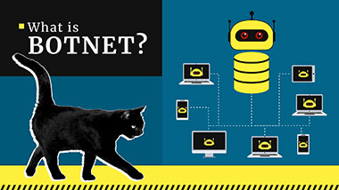 O que é uma Botnet? Como funciona? Definição e Exemplos | Gridinsoft