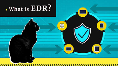 O que é Detecção e Resposta de Endpoint? Definição EDR | Gridinsoft