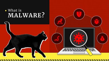 O que é malware e como funciona? Definição e Exemplos | Gridinsoft