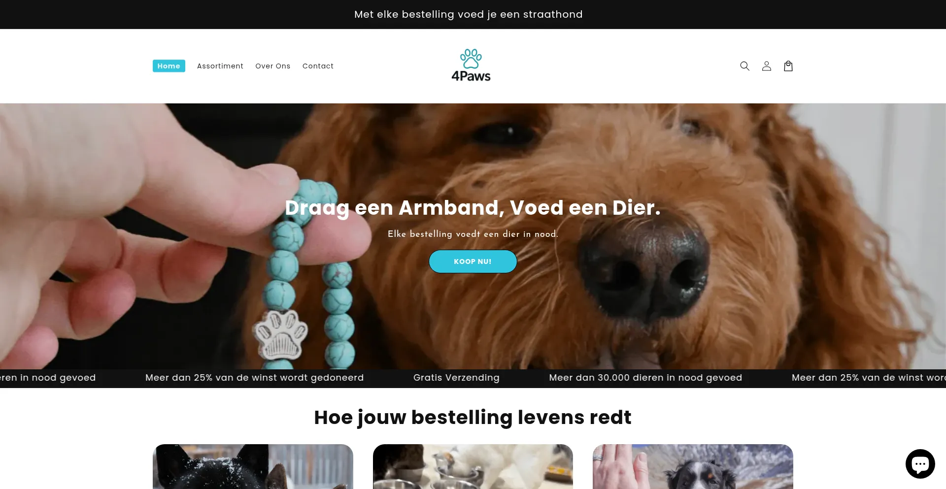 4pawswinkel.nl é Seguro e Confiável?