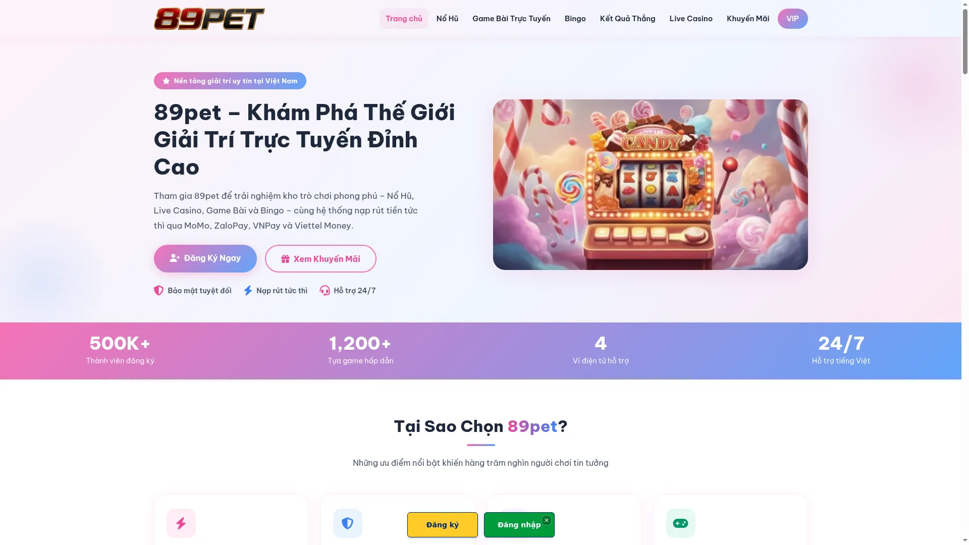 89pet.xyz
