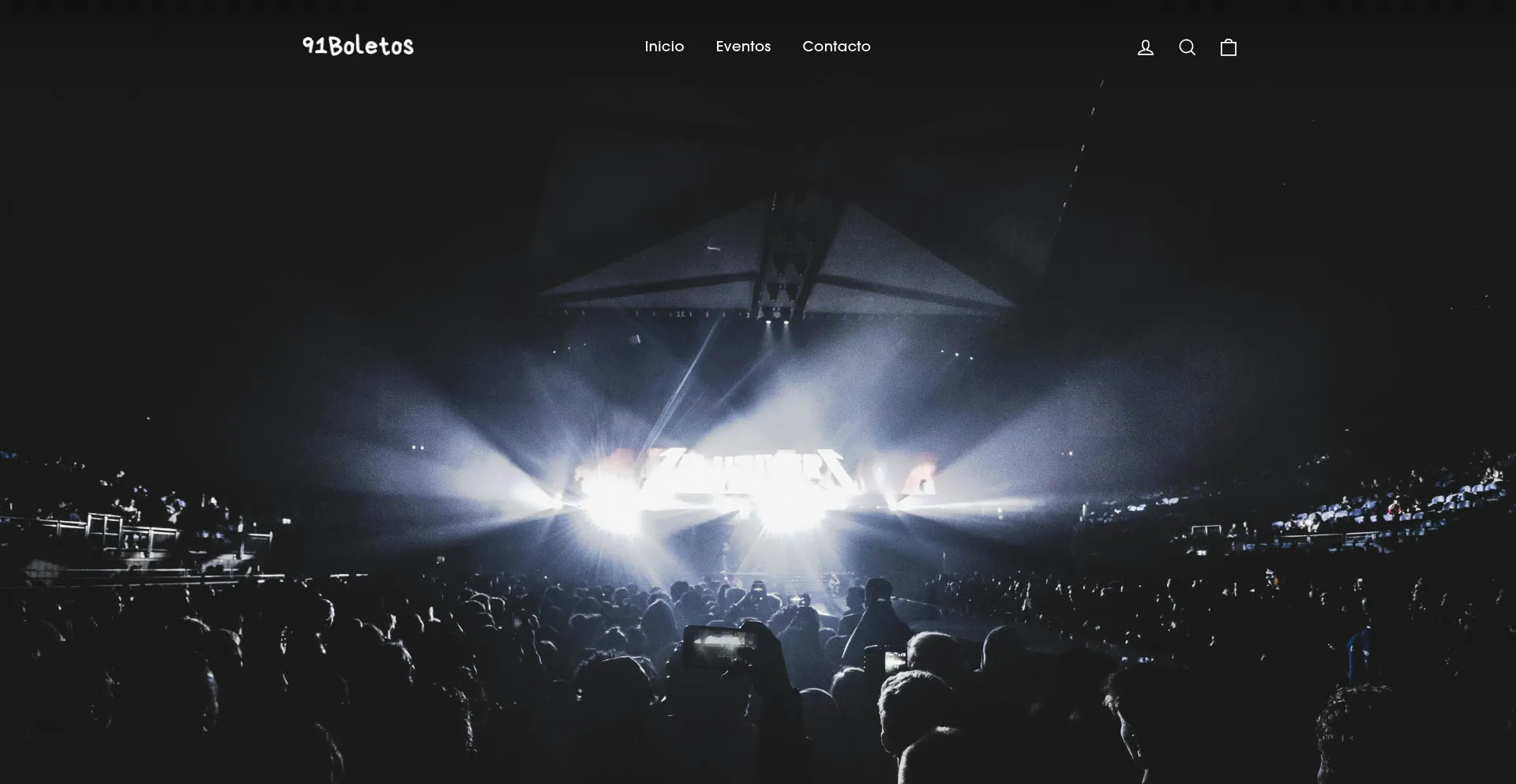 Website screenshot of 91boletos.com