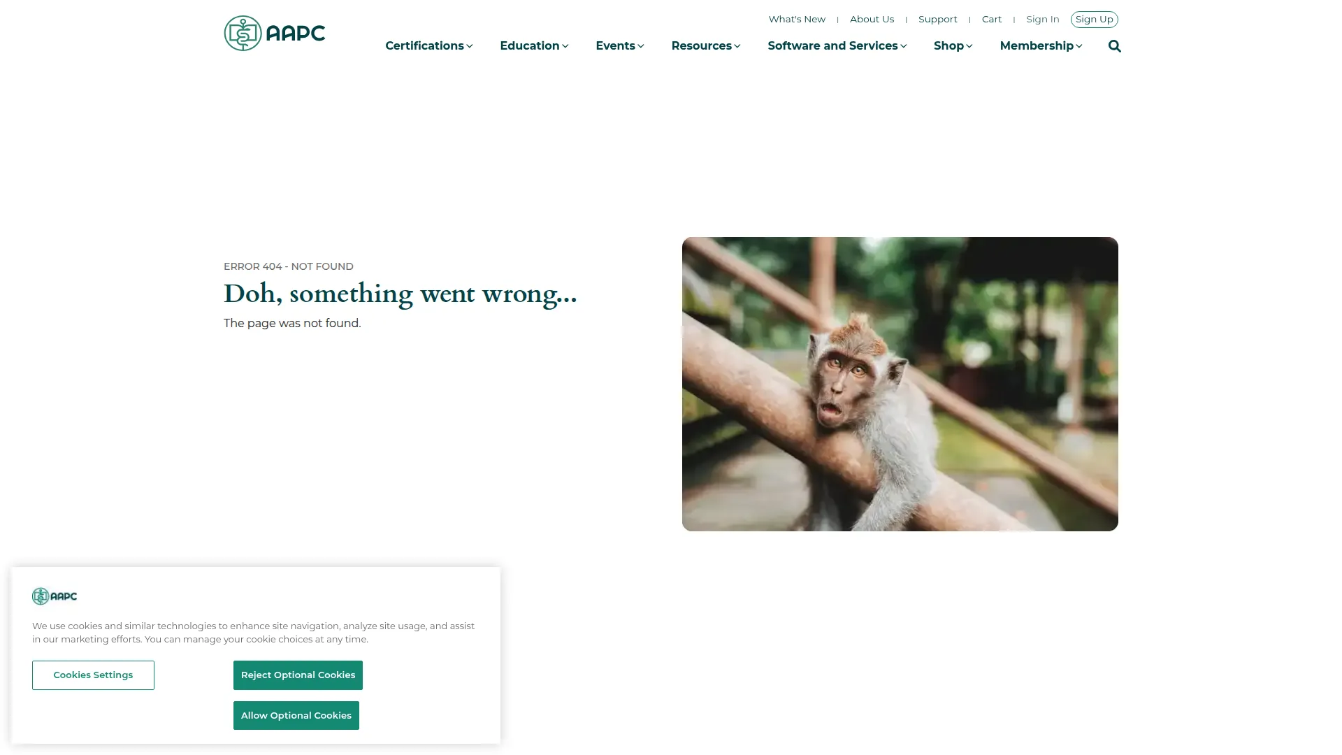 Aapcservices.com