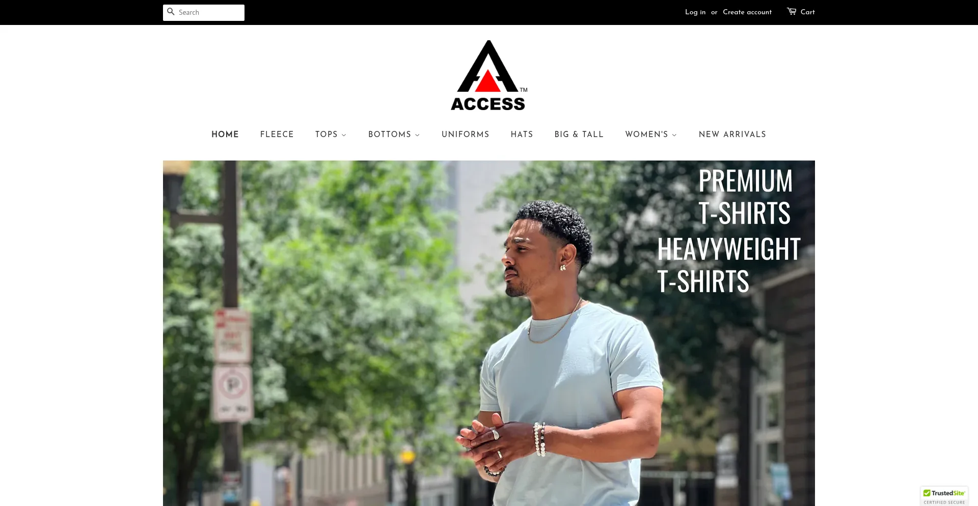 Website screenshot of Accessapparel.com