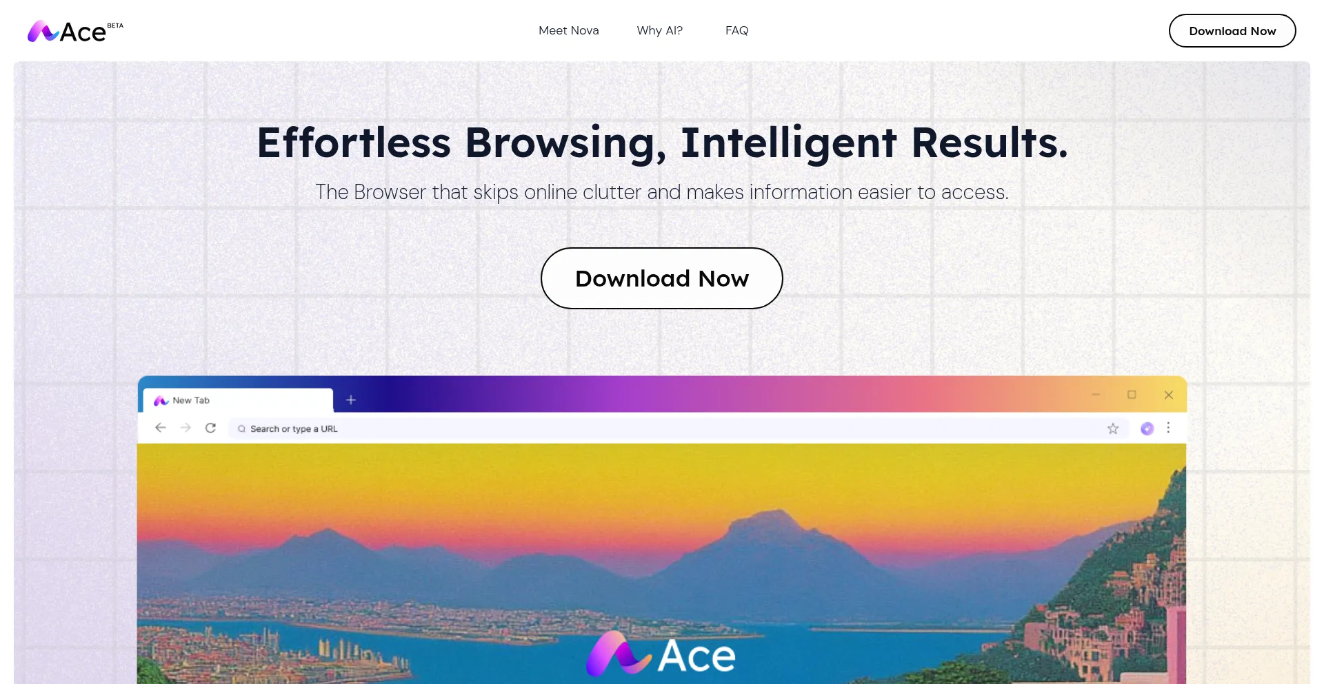 Acebrowser.ai é Seguro e Confiável?