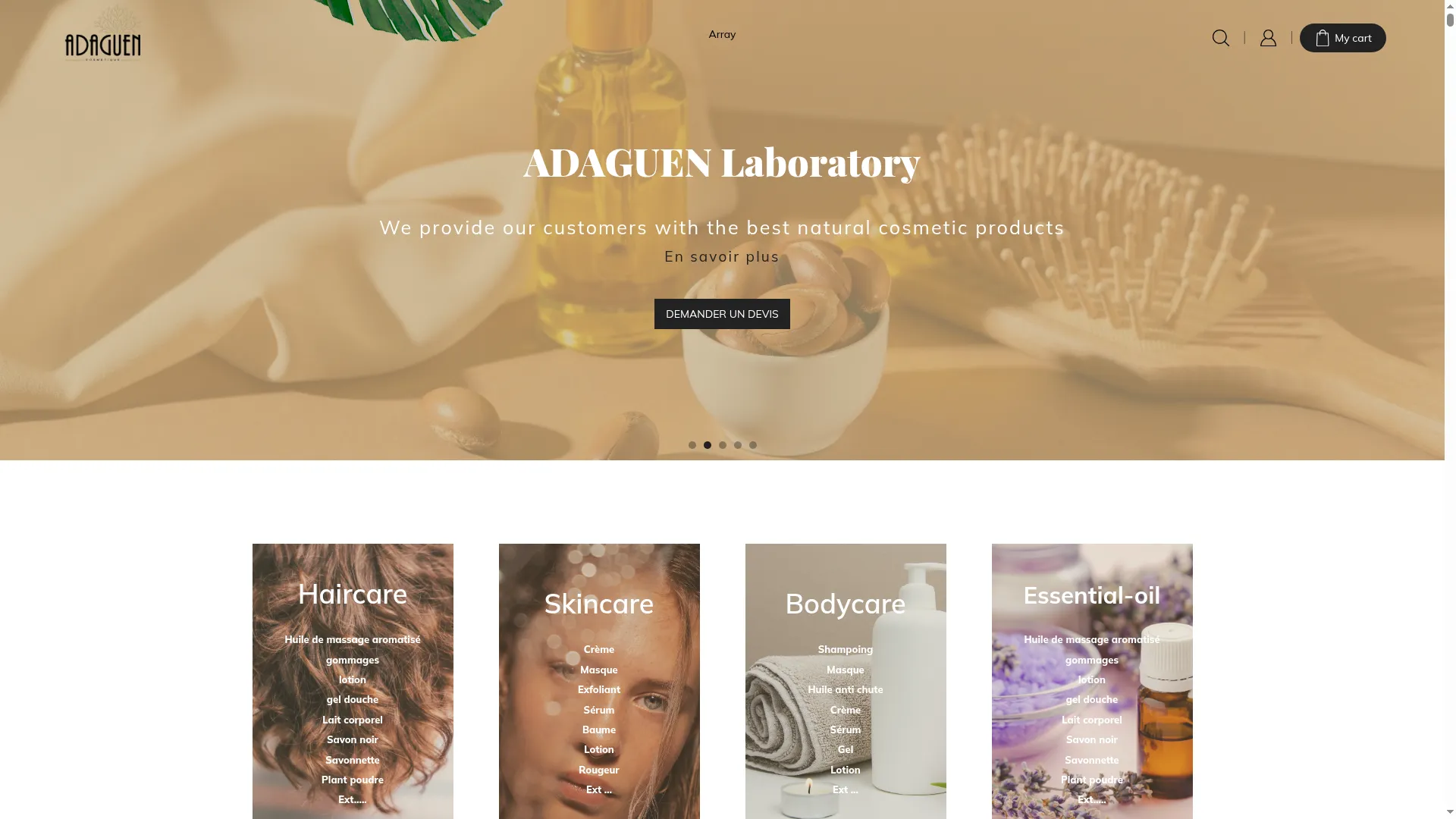 Adaguen.com