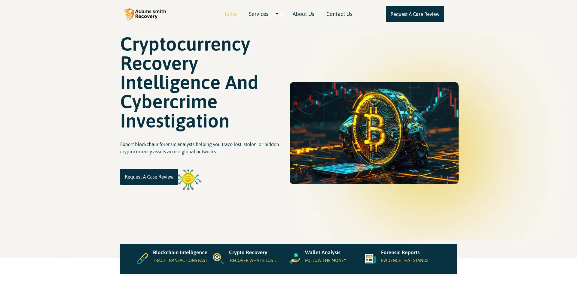 Adamssmithrecovery.com