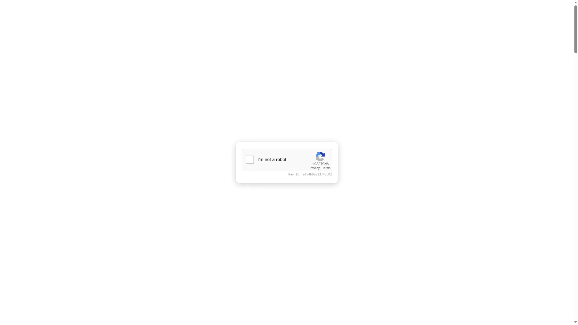 Adeelameerbrothers.com