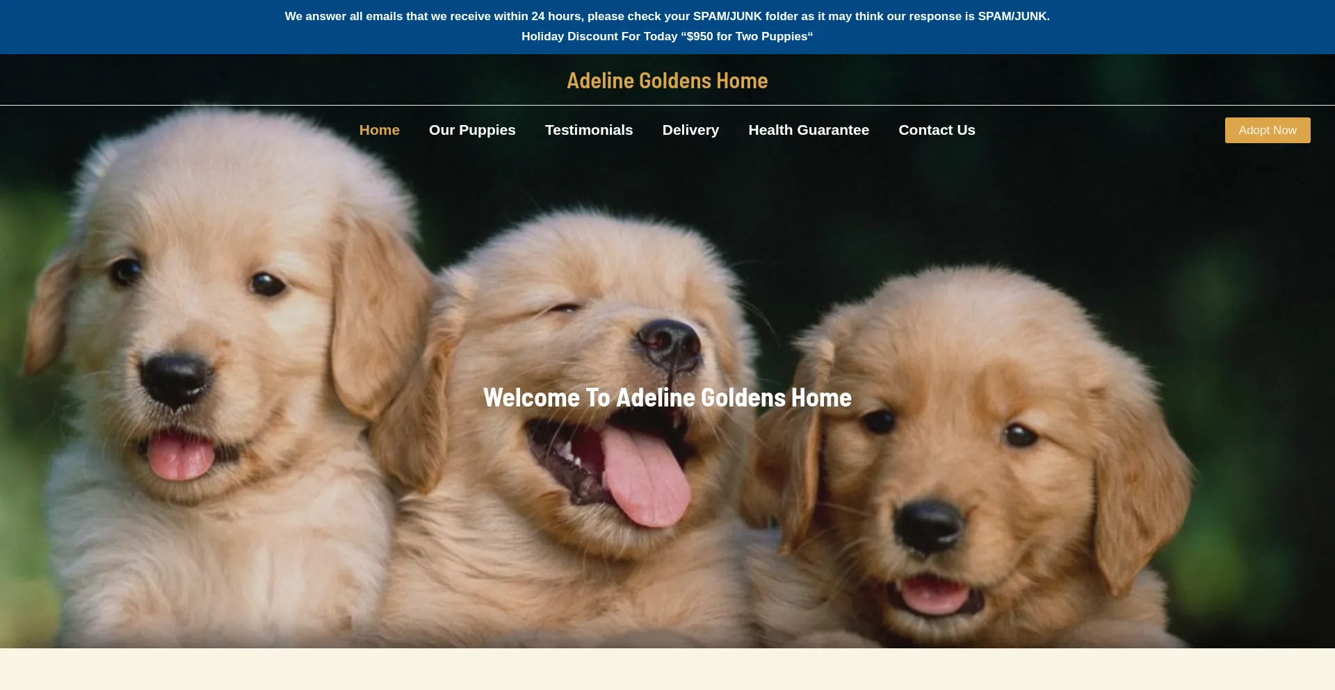 Adelinegoldenshome.com