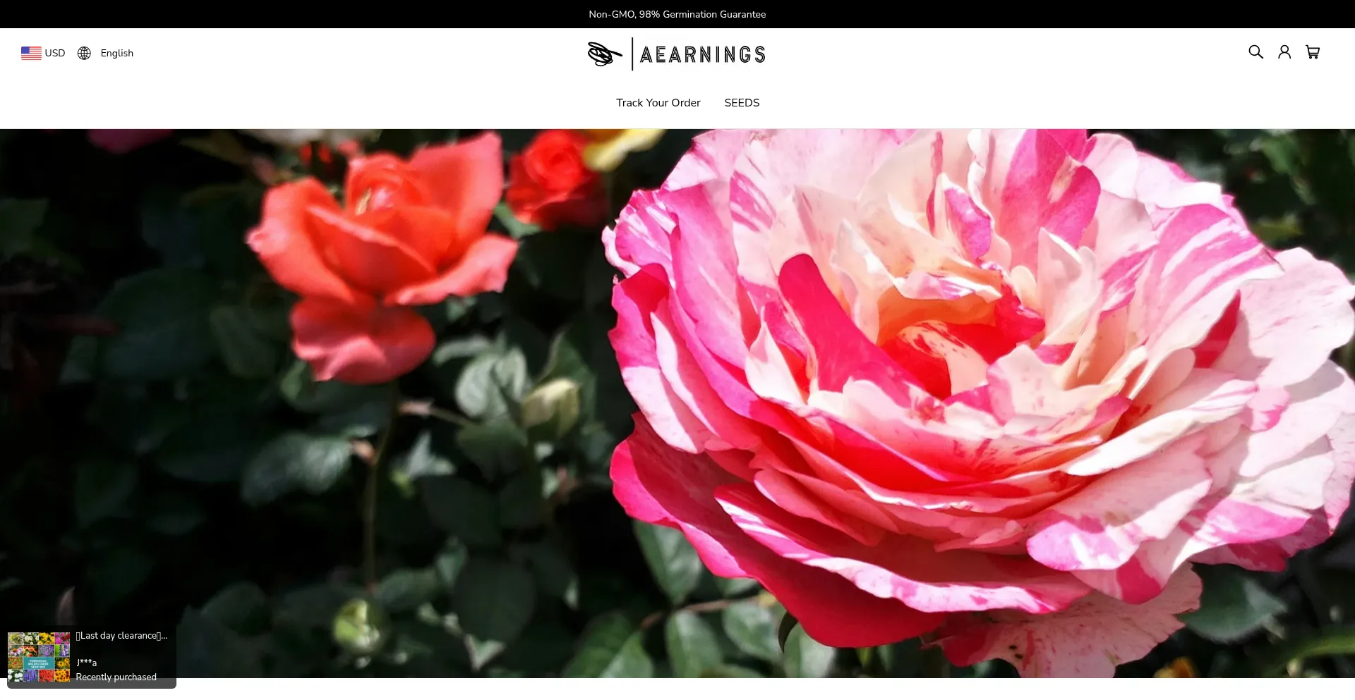 Website screenshot of Aearnings.com