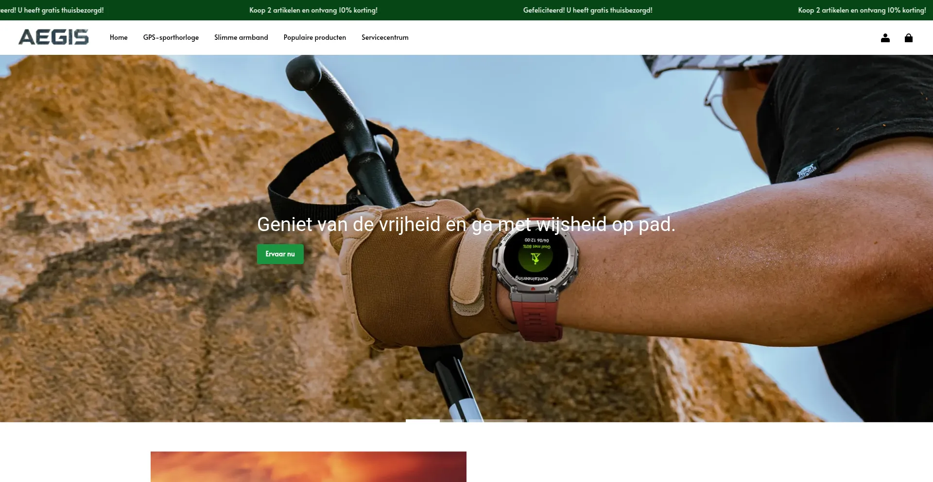 Aegis-nl.com Screenshot