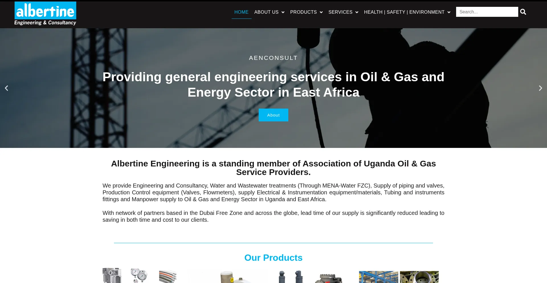 Aenconsult.com