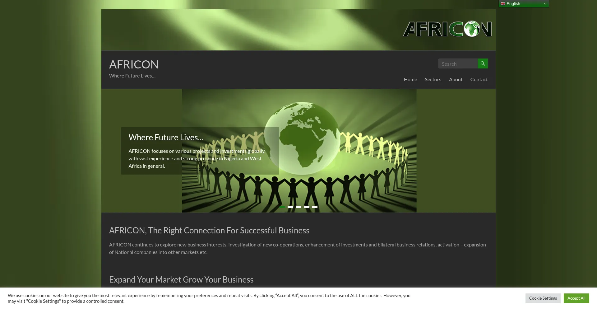 Website screenshot of Africongroup.com