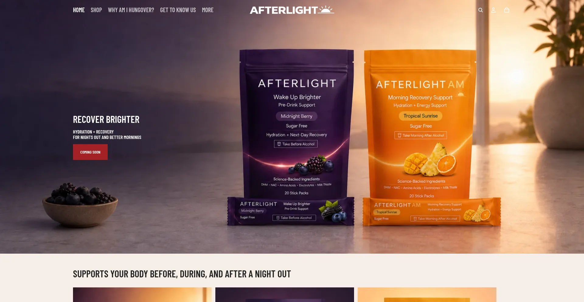 Afterlightrecovery.co