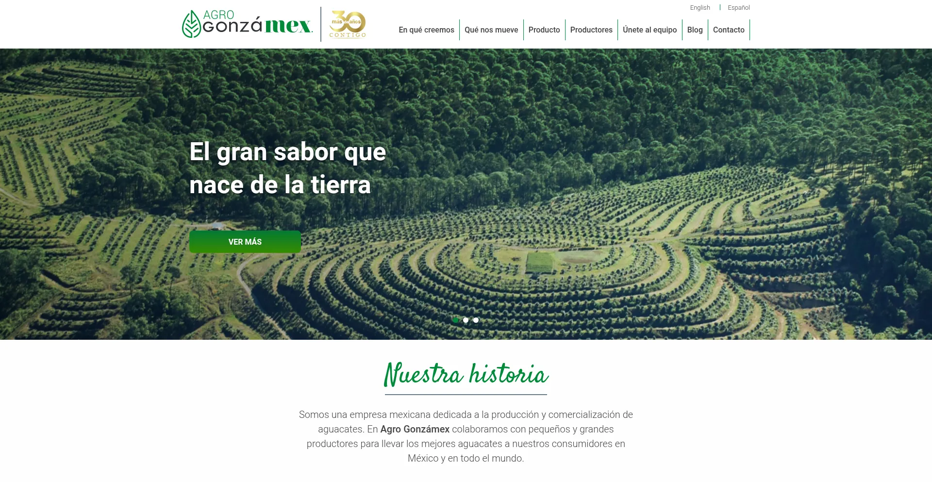 Agrogonzamex.com
