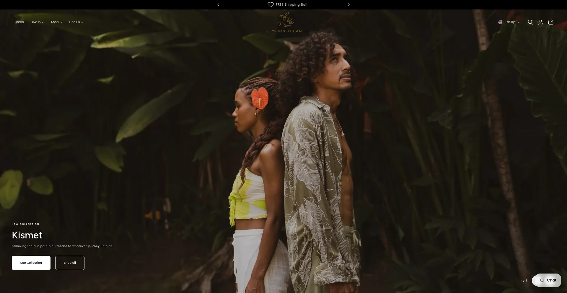 Allthingsocean.store