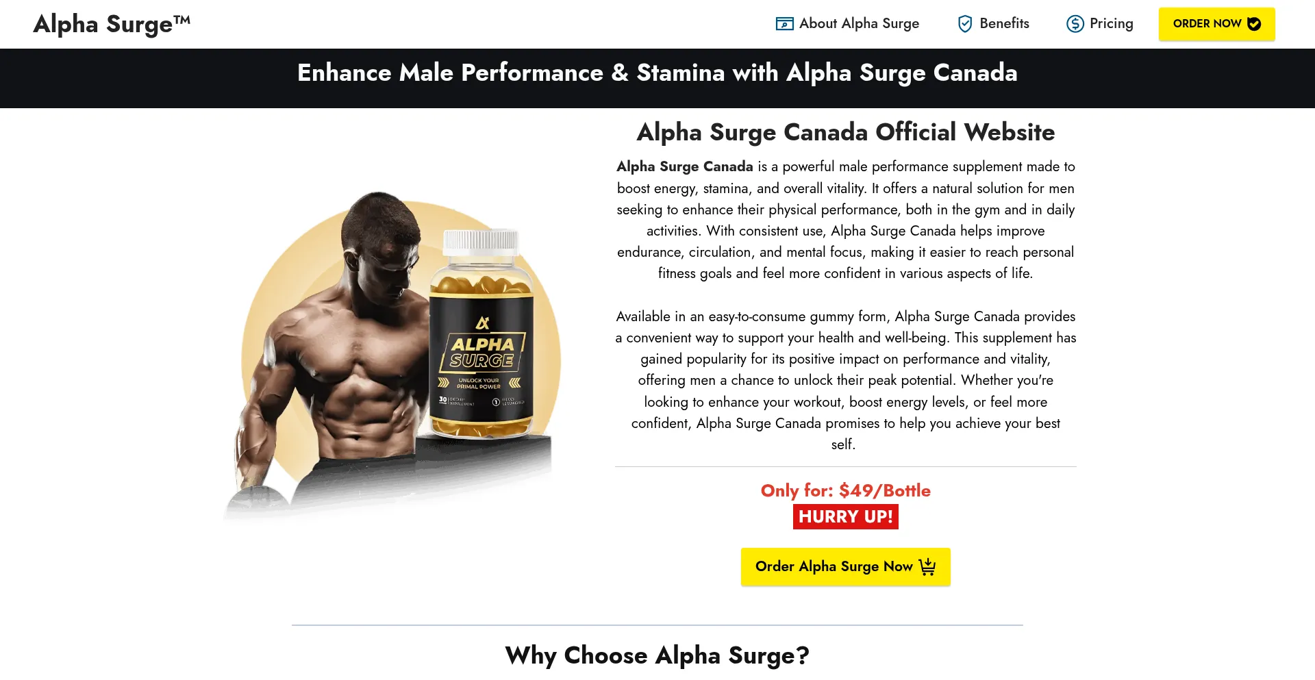 Website screenshot of Alpha-surge.ca