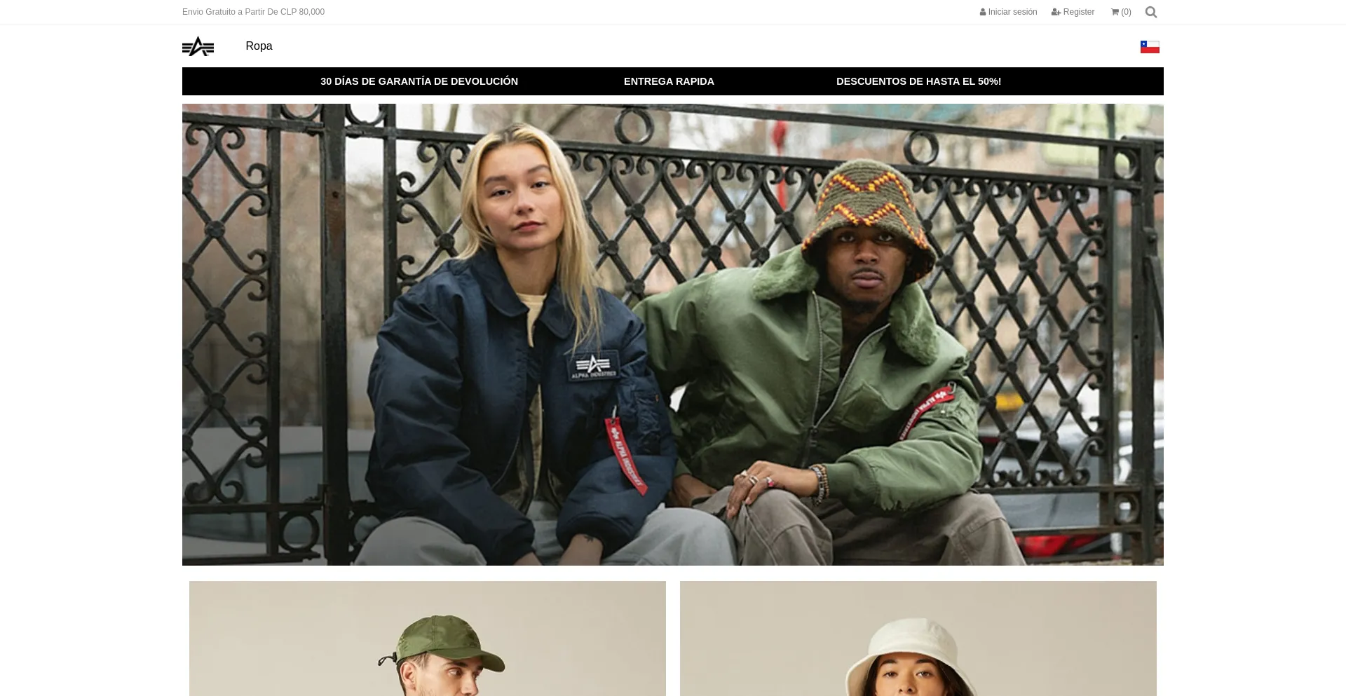 Website screenshot of Alphaindustrieschile.com