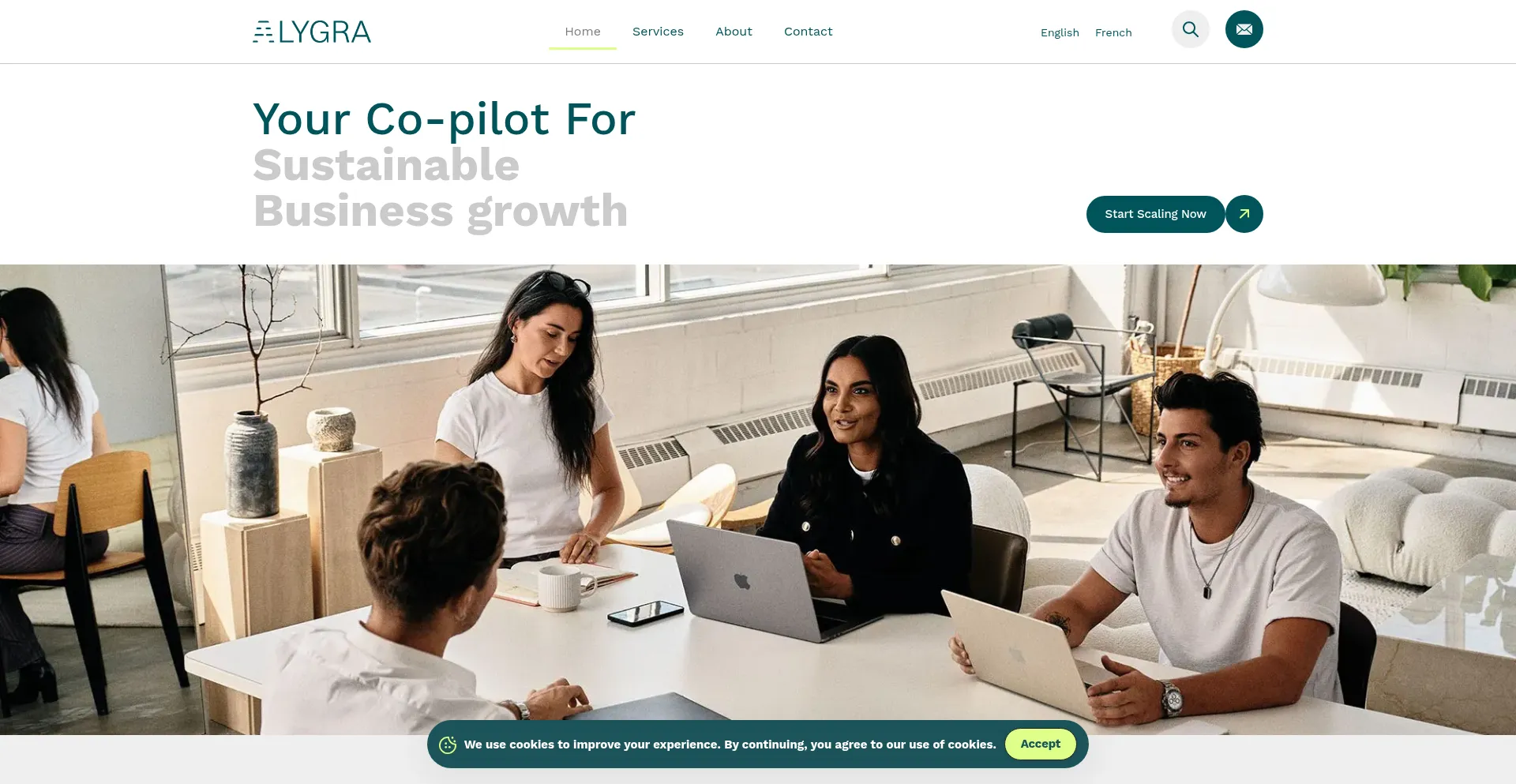 Alygra.com