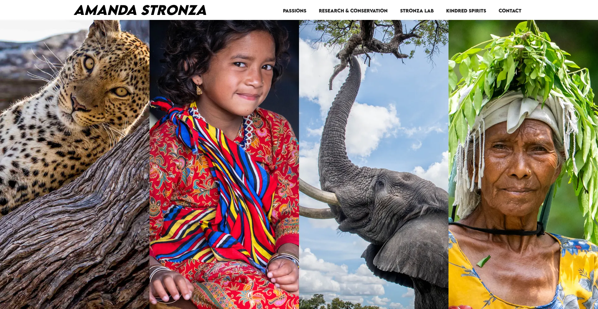 Amandastronza.com