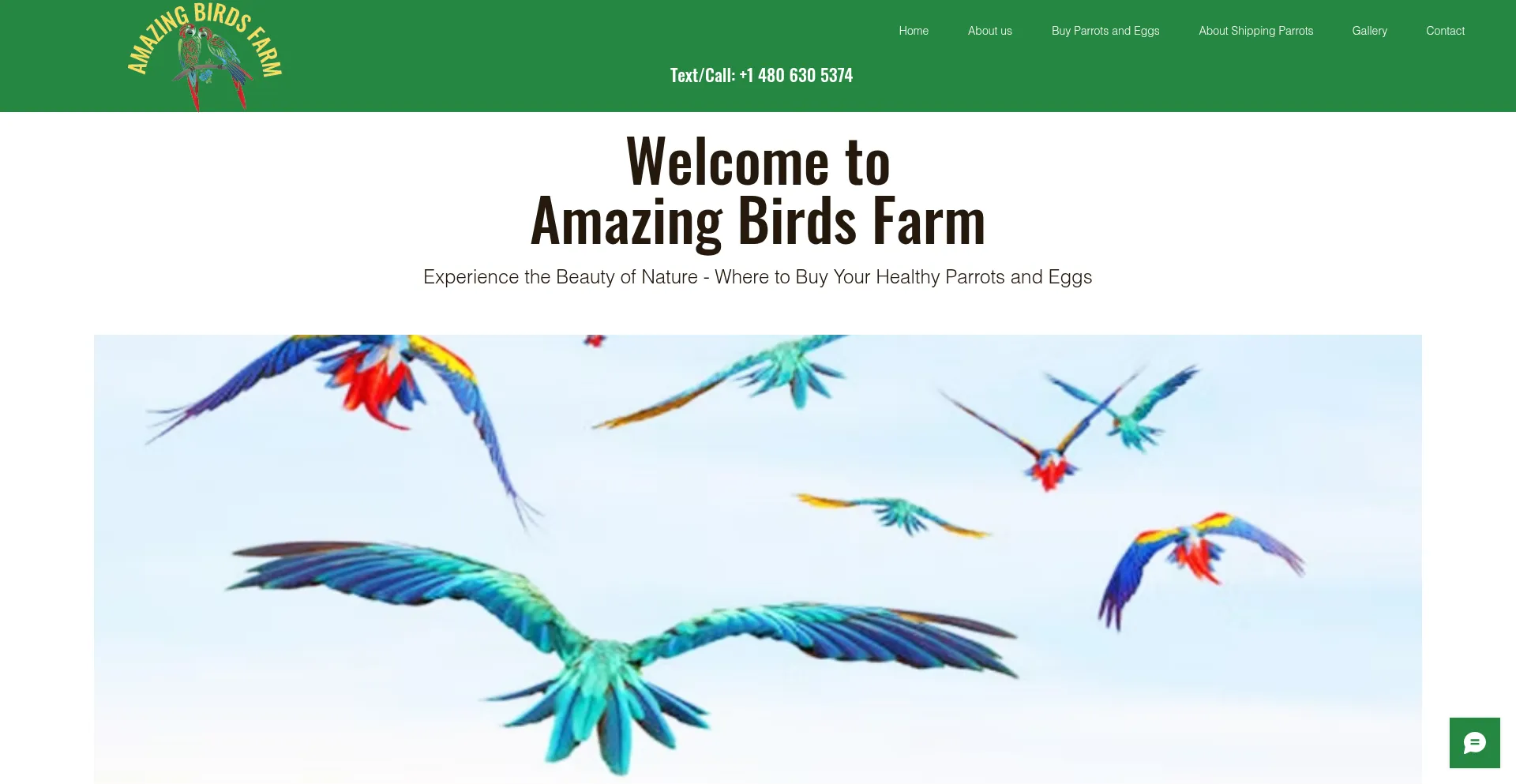 Website screenshot of Amazingbirdsfarm.com