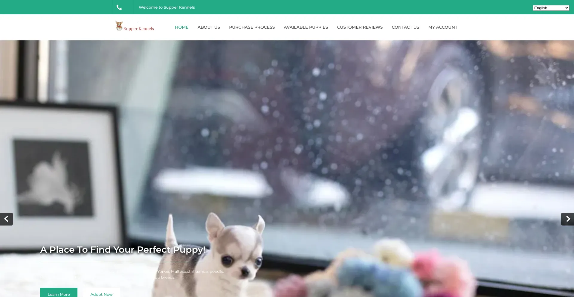 Amazingminipuppies.shop