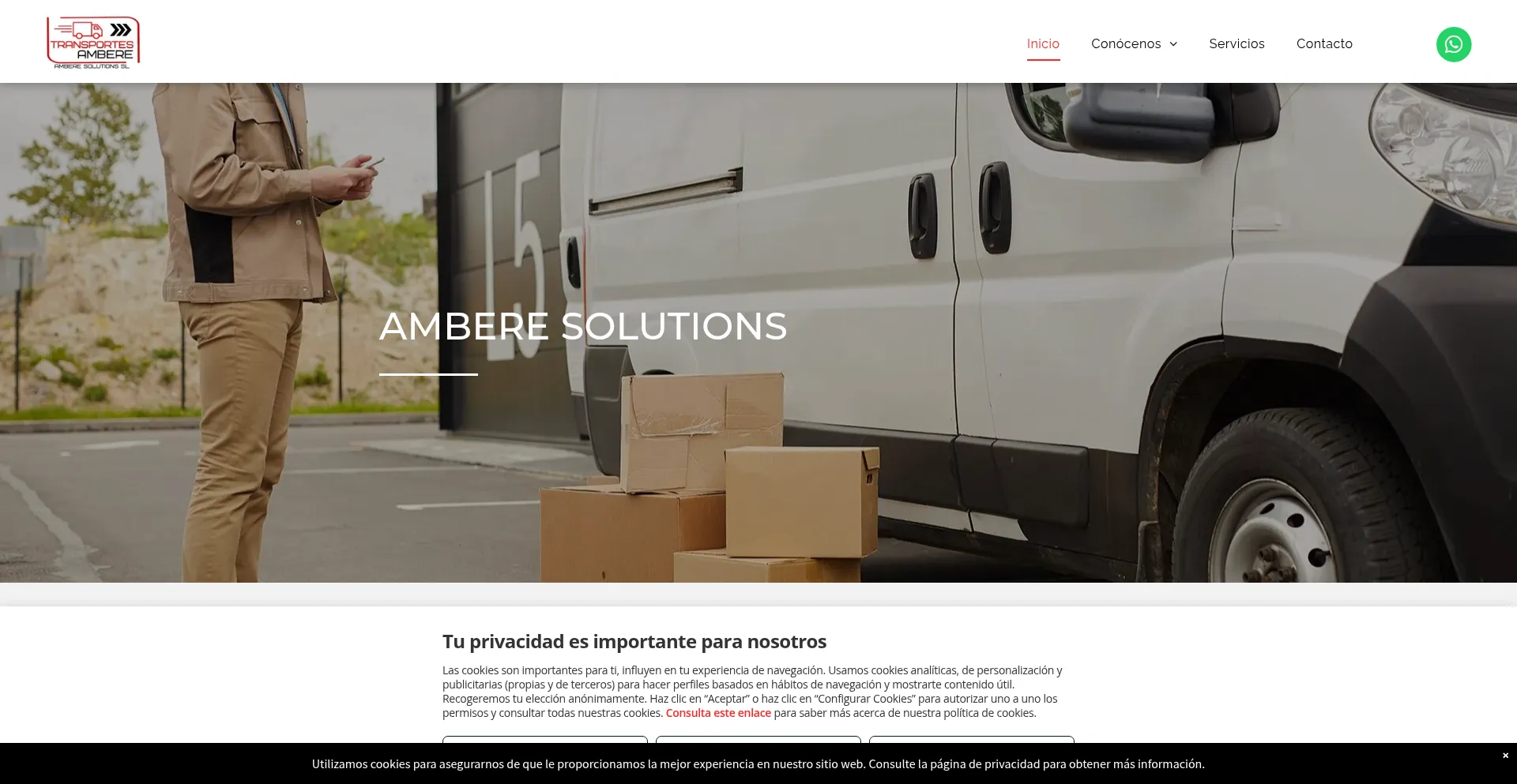 Website screenshot of Amberesolutions.com