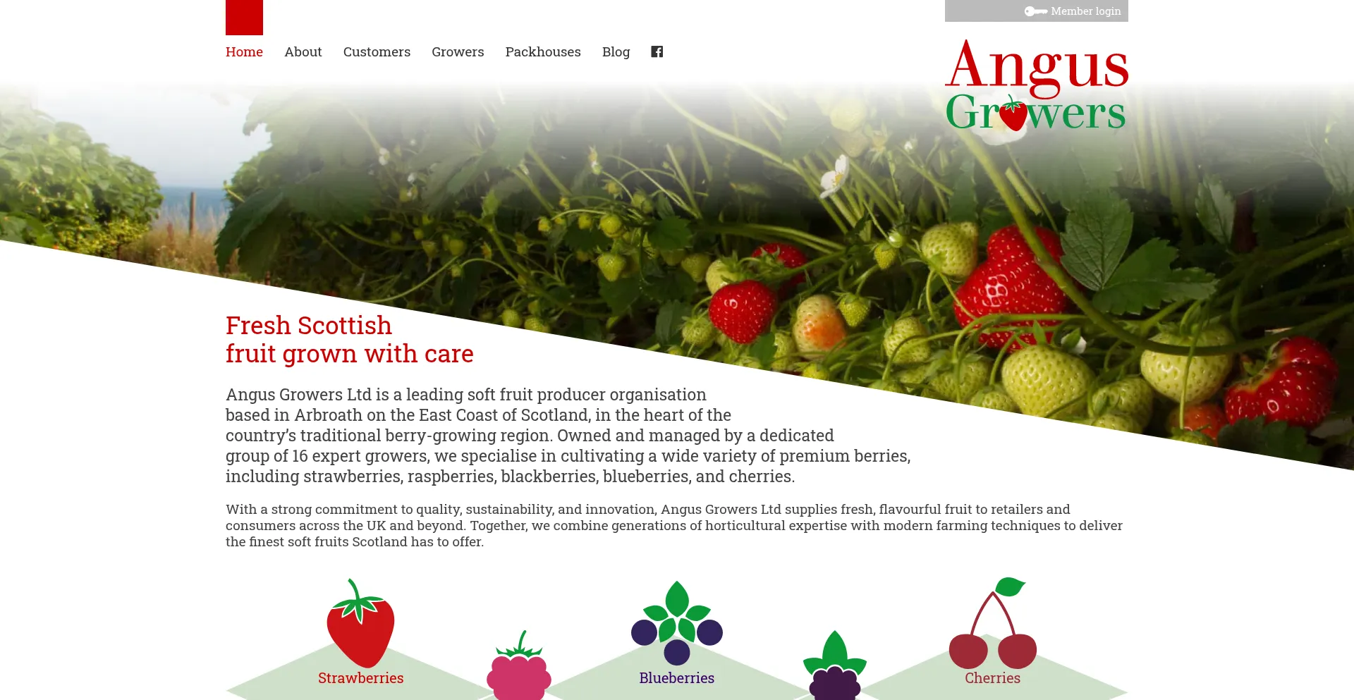 Website screenshot of Angusgrowers.co.uk