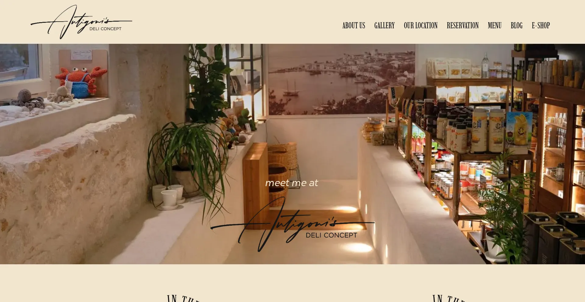 Website screenshot of Antigonisdeliconcept.com