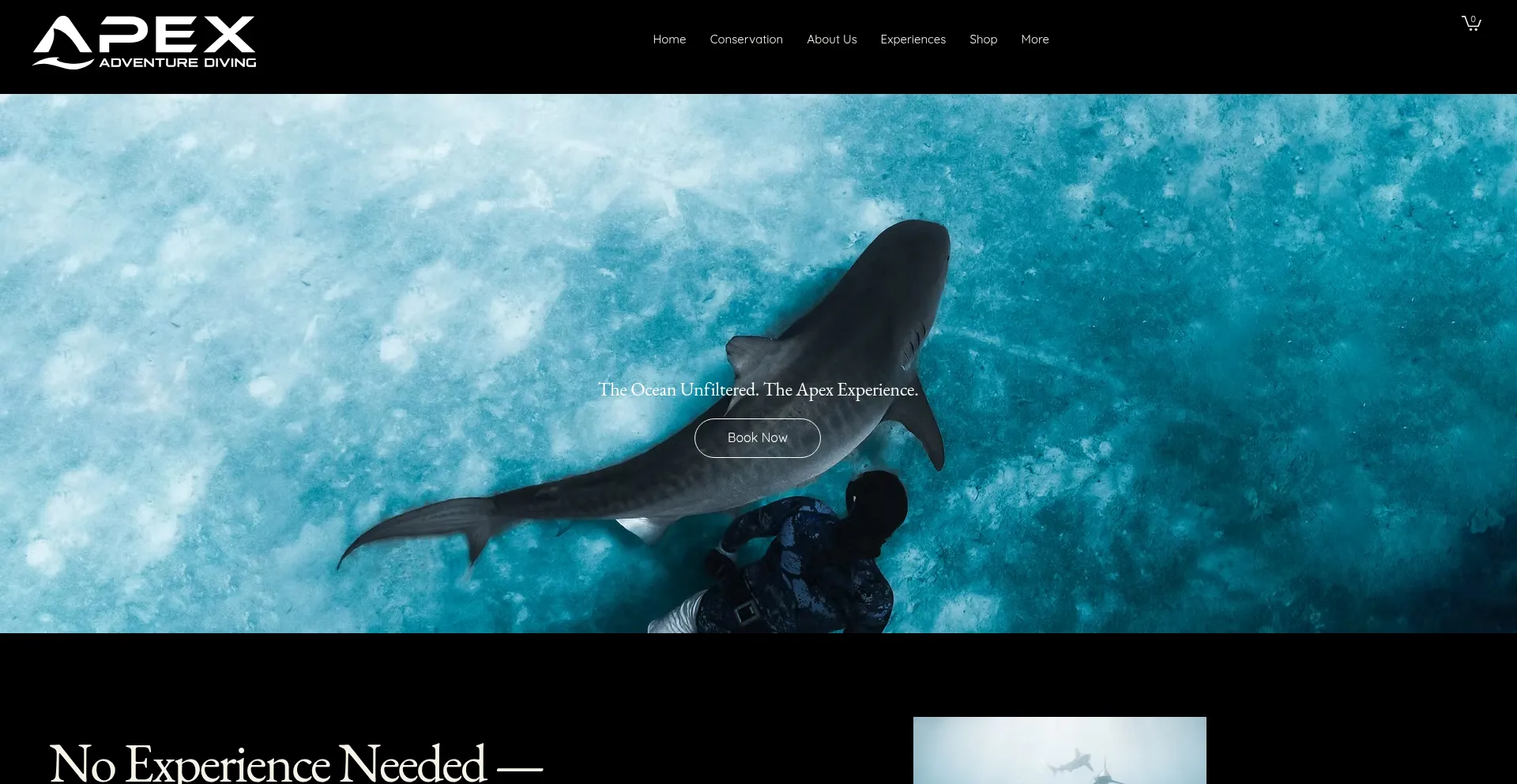 Apexadventurediving.com