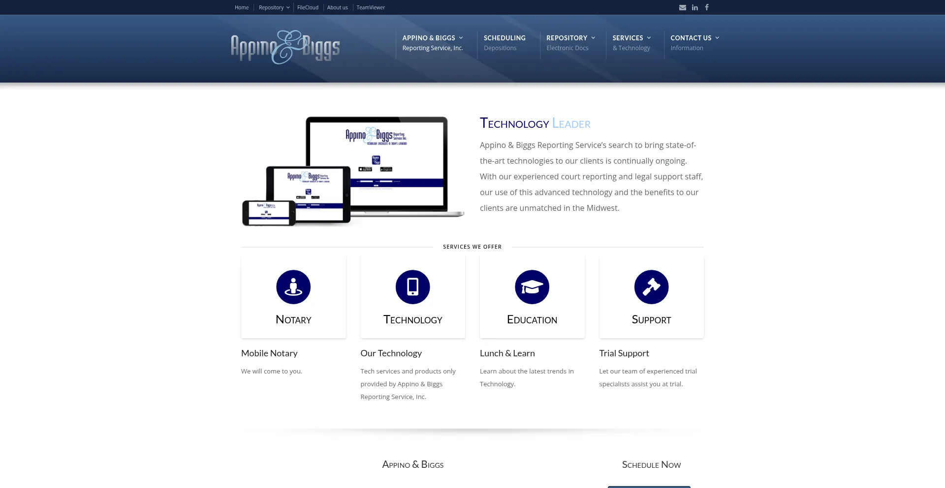 Website screenshot of Appinobiggs.com