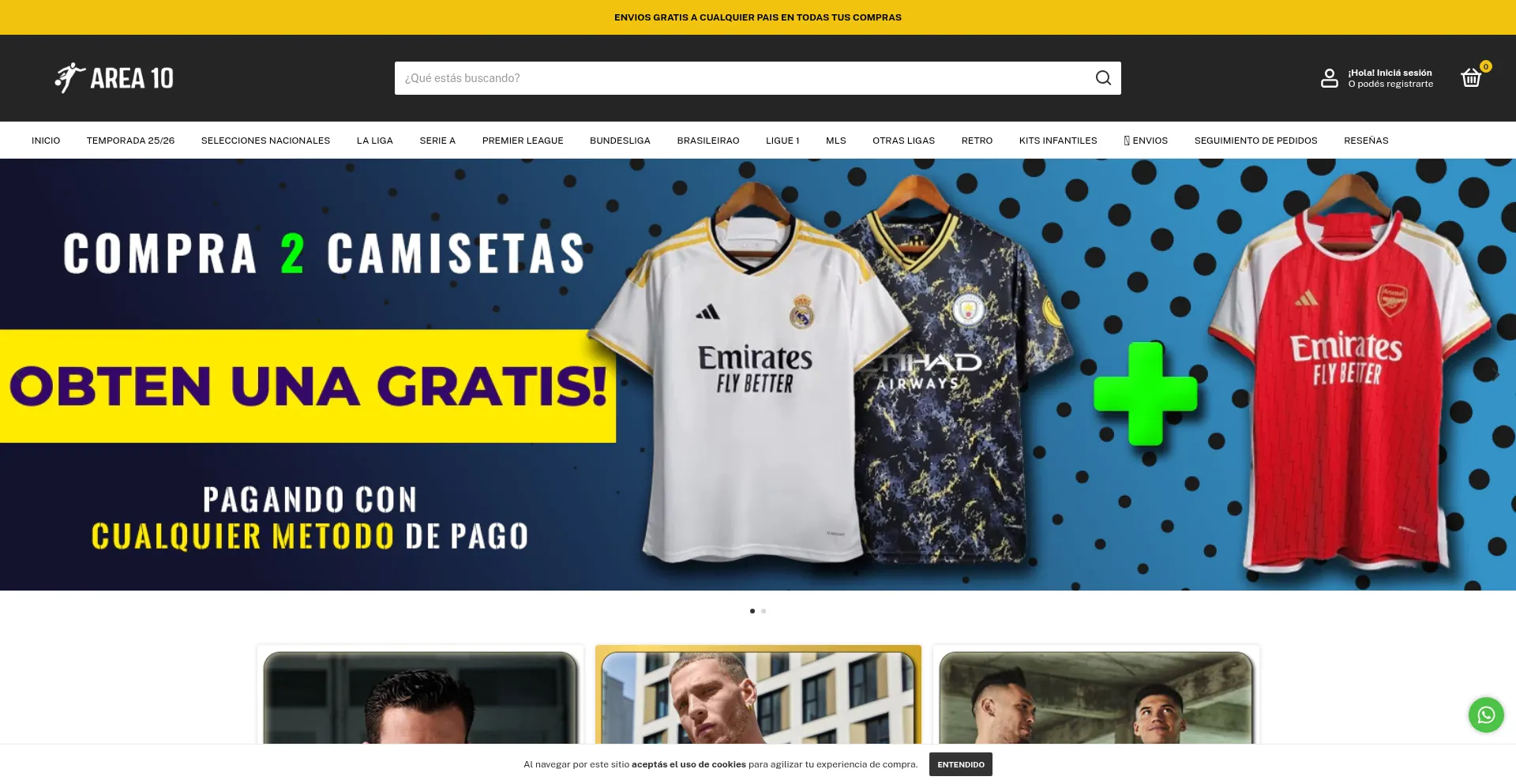 Website screenshot of Area10.com.ar