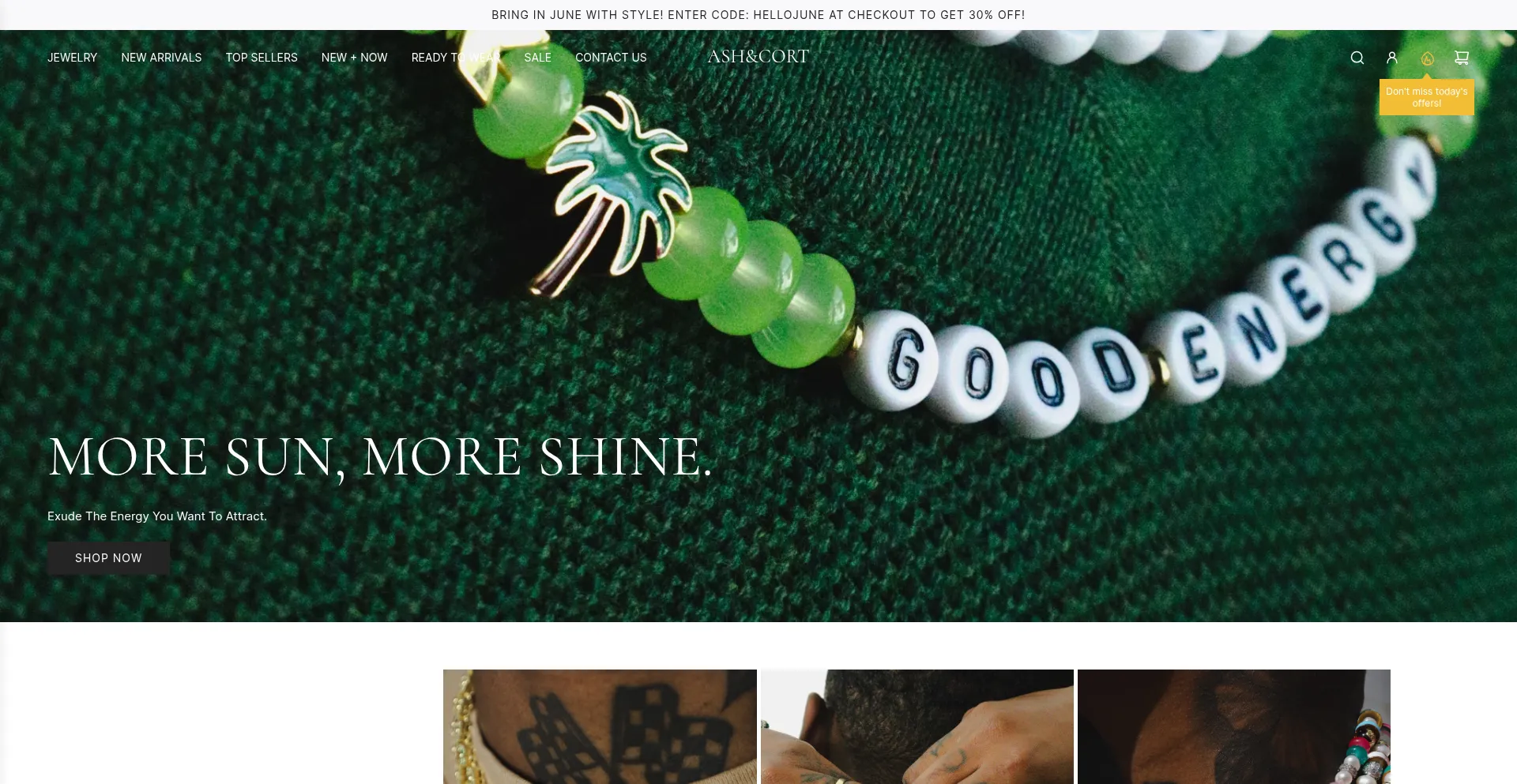 Website screenshot of Ashandcort.com