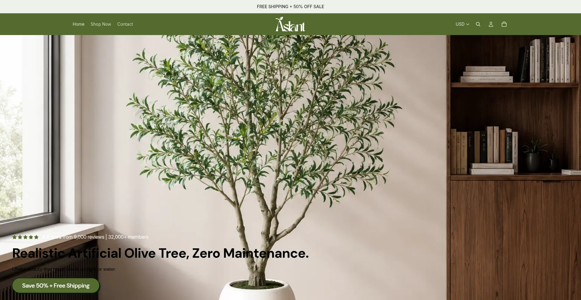 Aslantnest.com