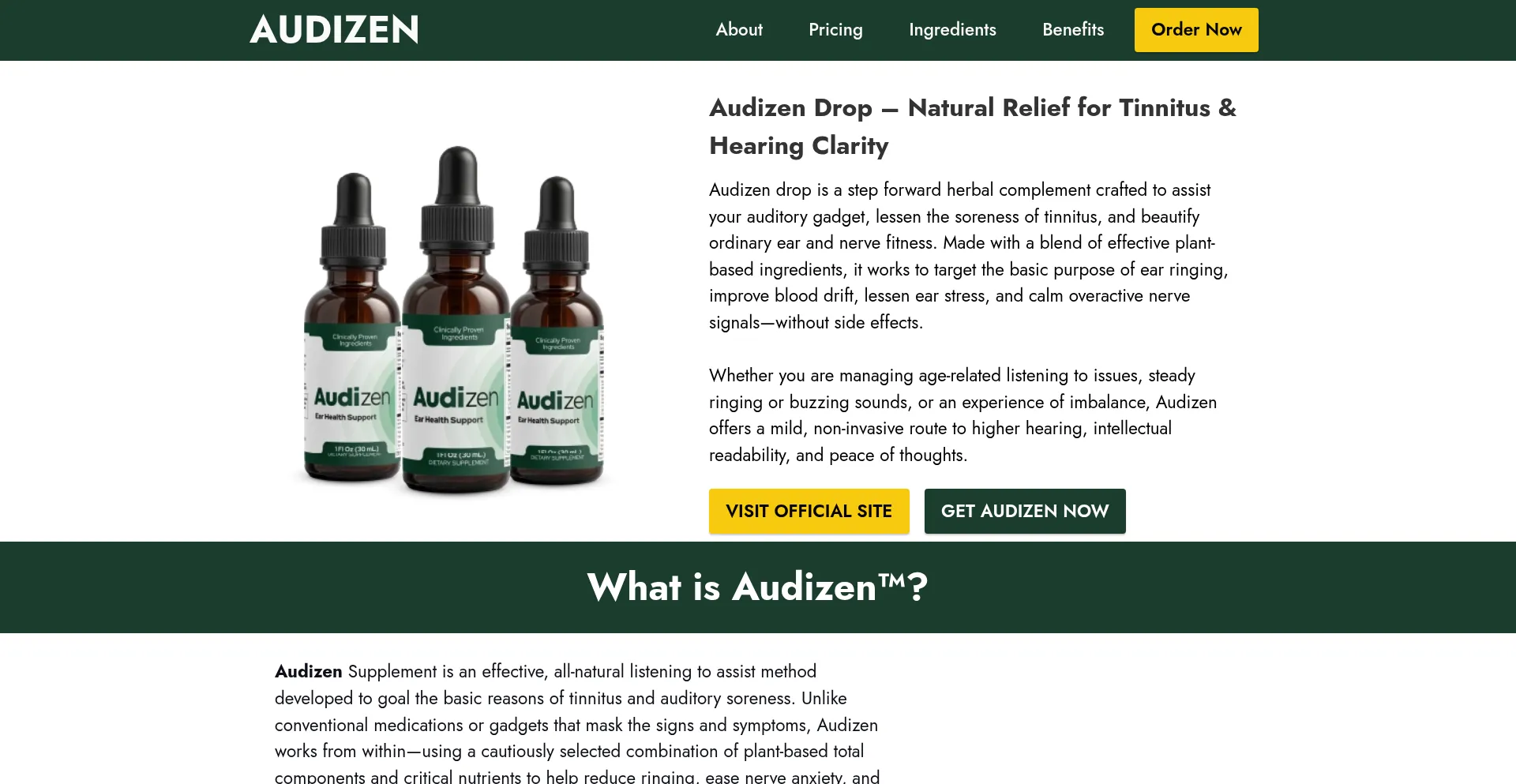 Audizen-en-us.com Screenshot