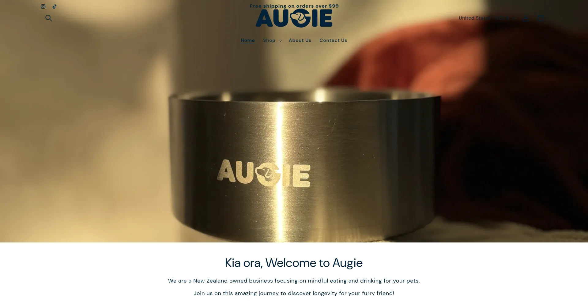 Website screenshot of Augie.co.nz