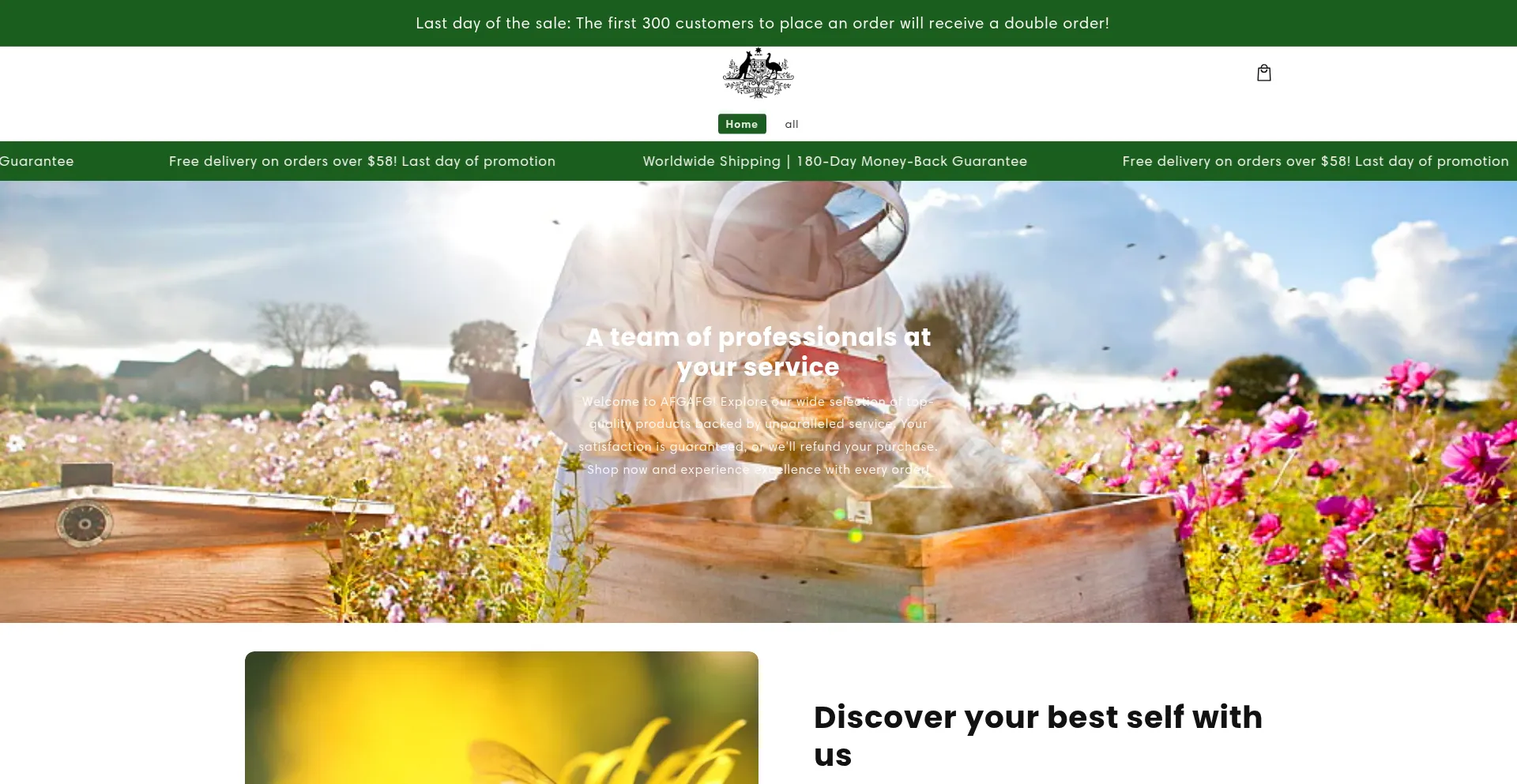 Website screenshot of Ausbewell.com