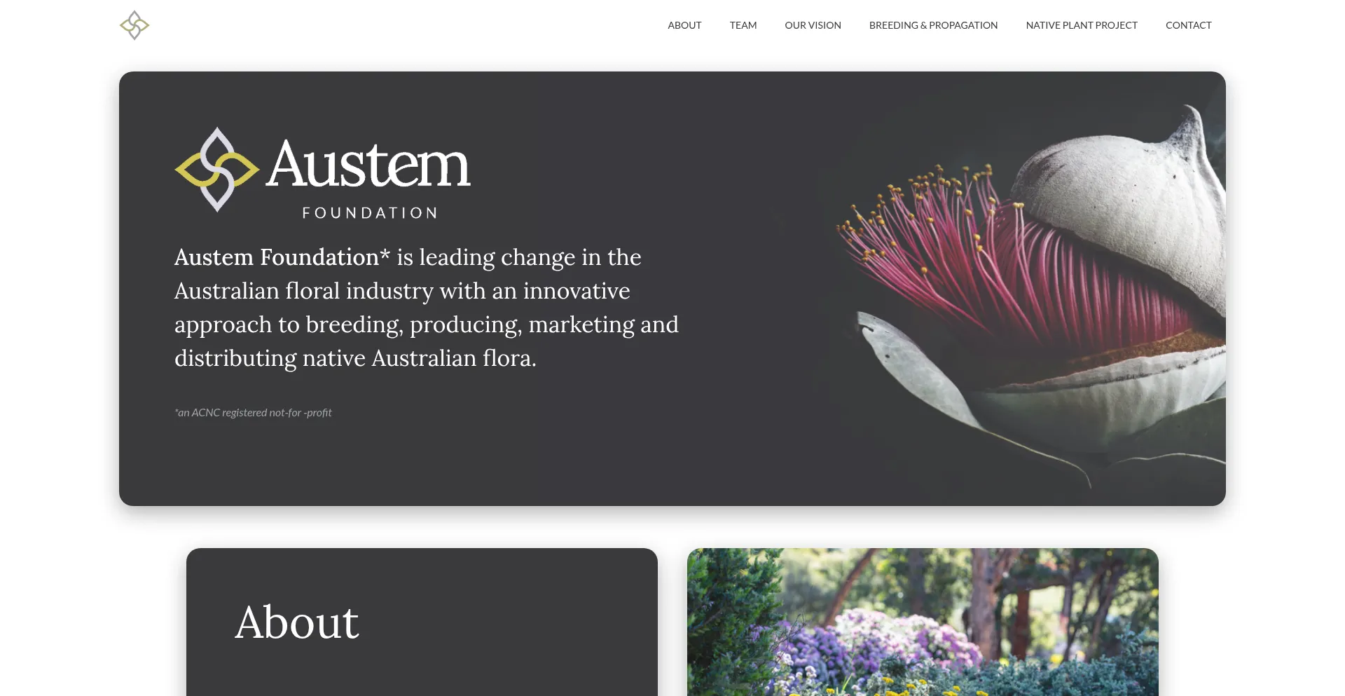 Austemfoundation.com.au