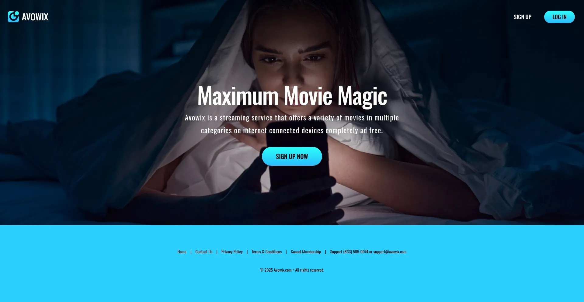 Website screenshot of Avowix.com