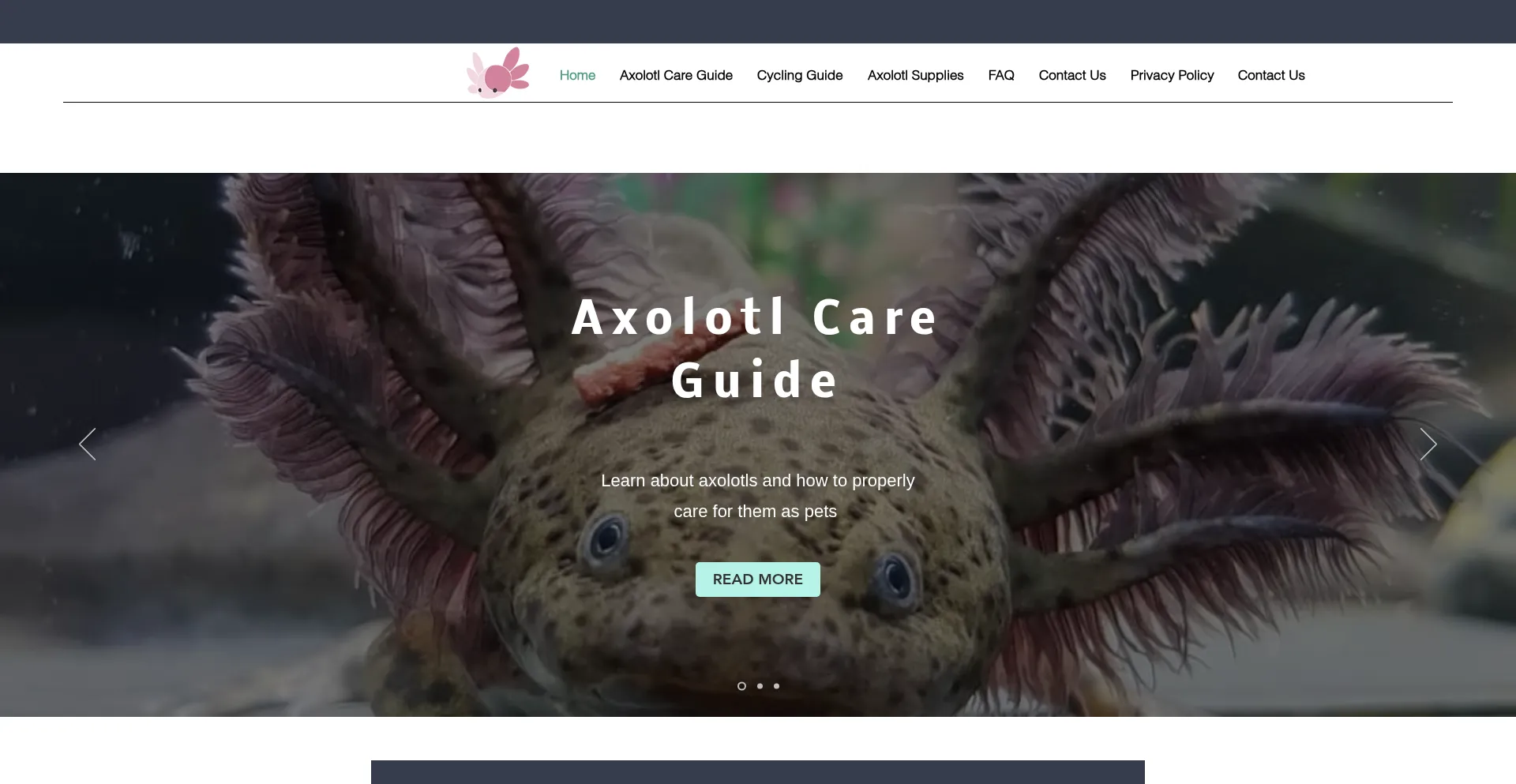 Axolotlcentral.com