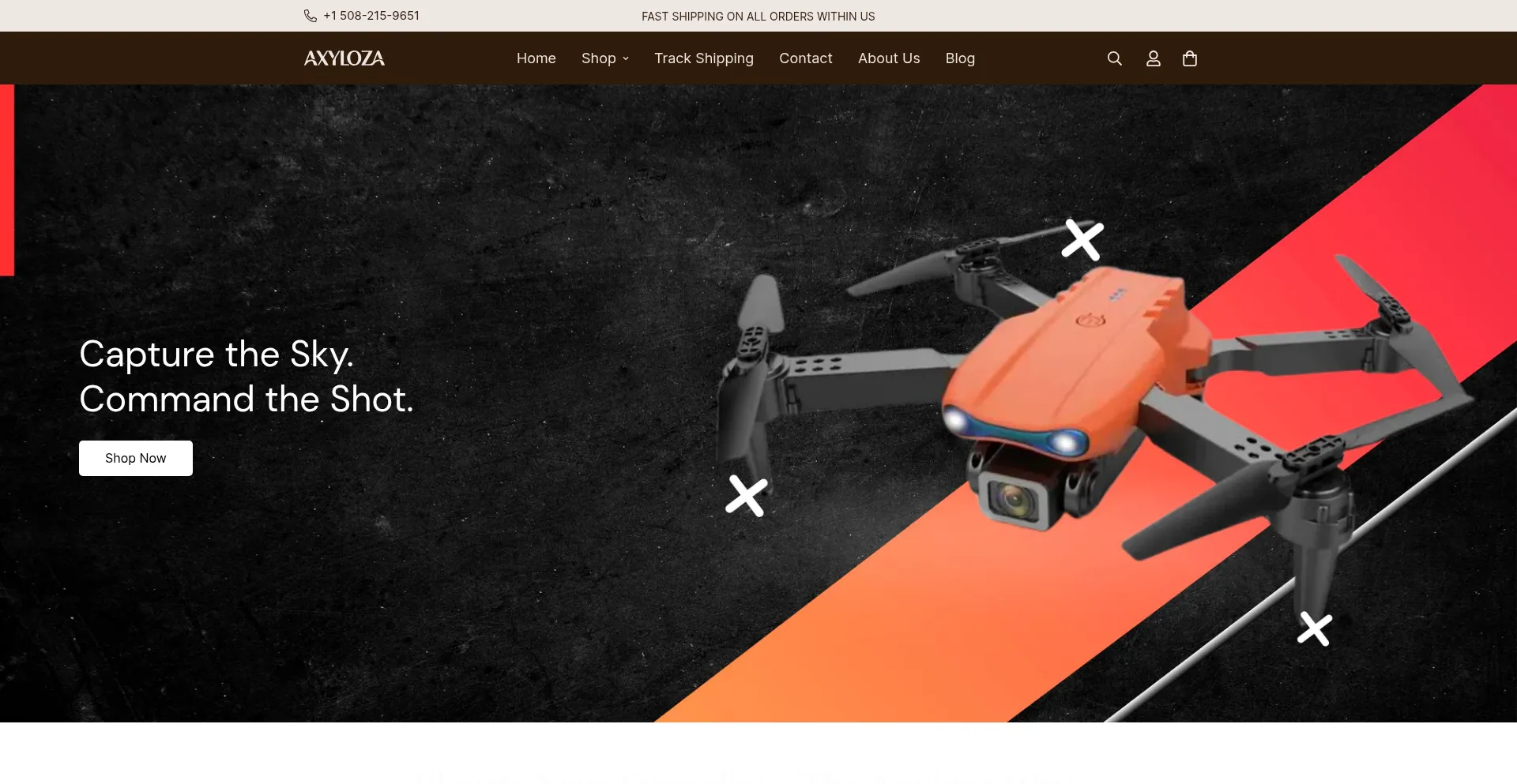 Website screenshot of Axyloza.com