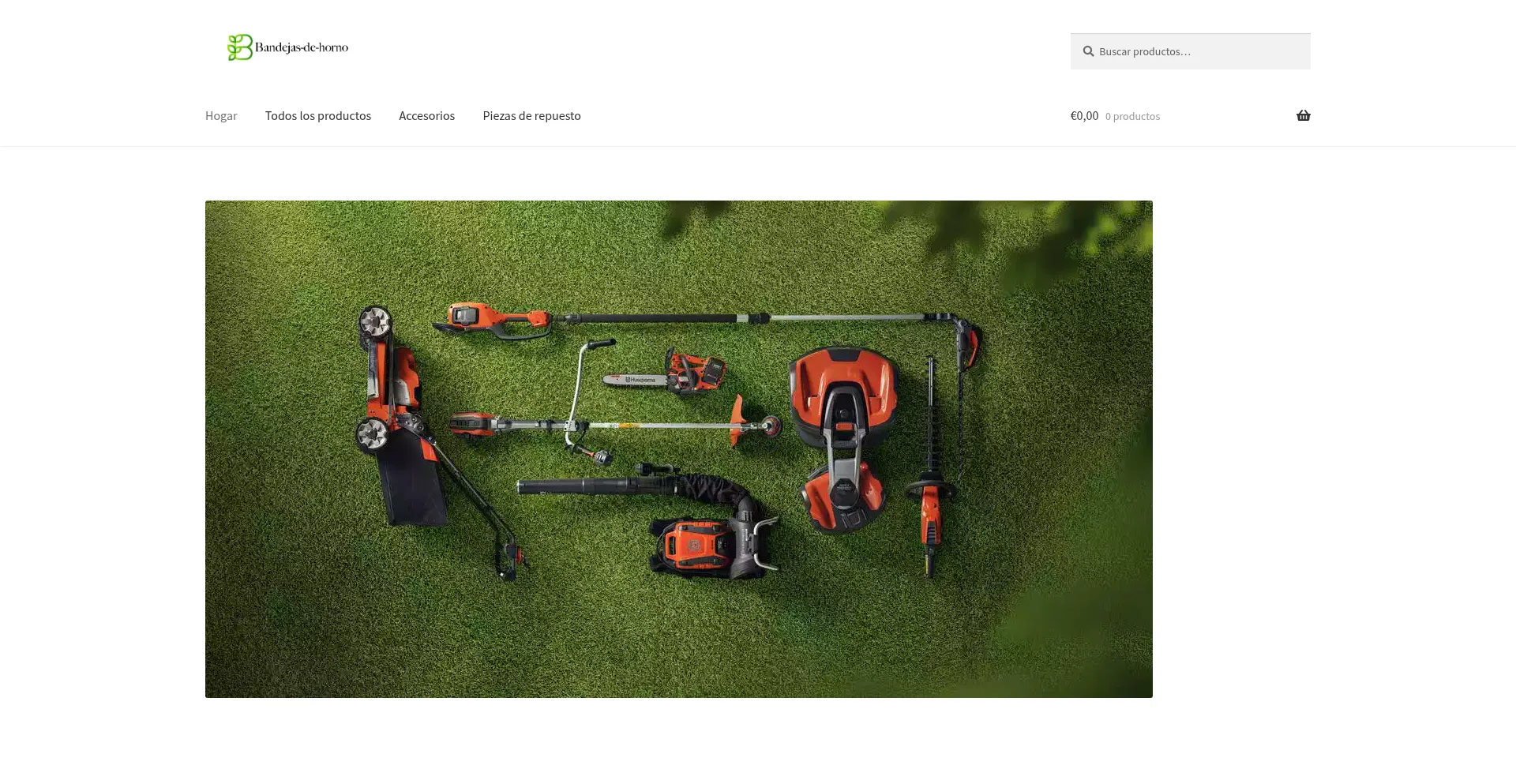 Bandejas-de-horno.com