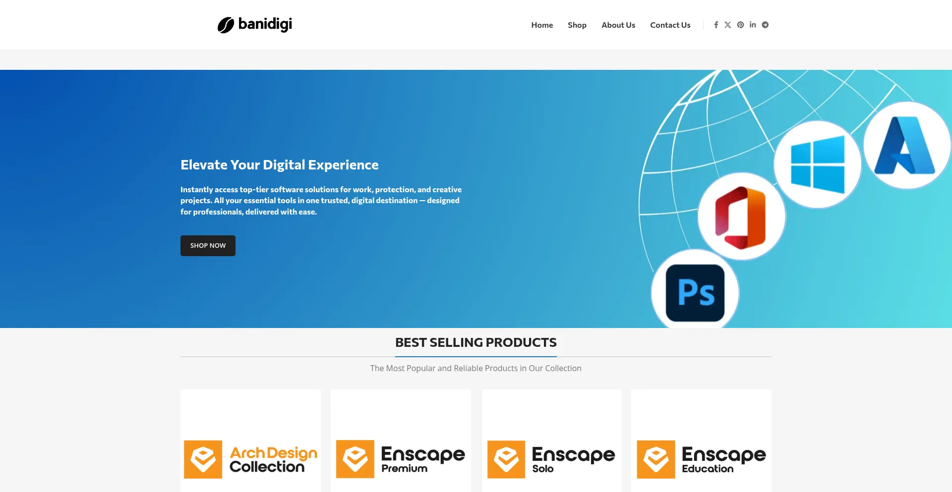 Website screenshot of Banidigi.com