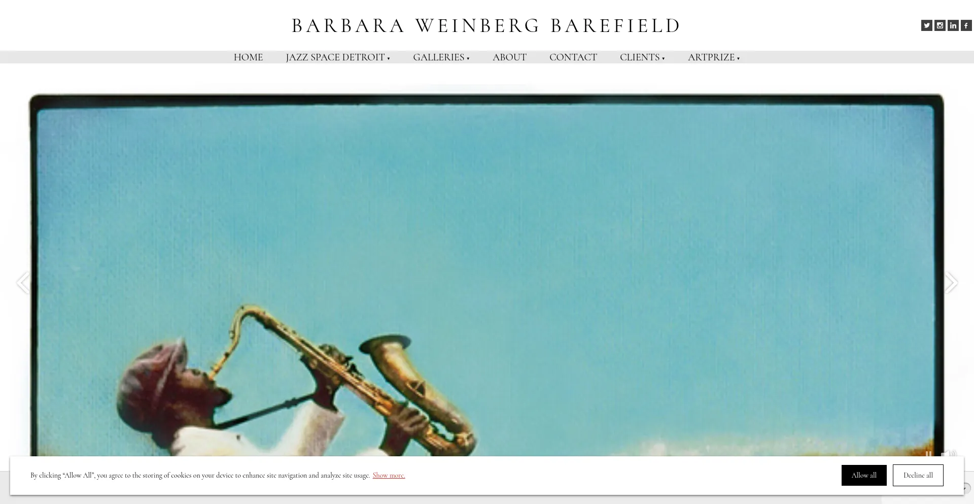 Website screenshot of Barbarabarefield.com