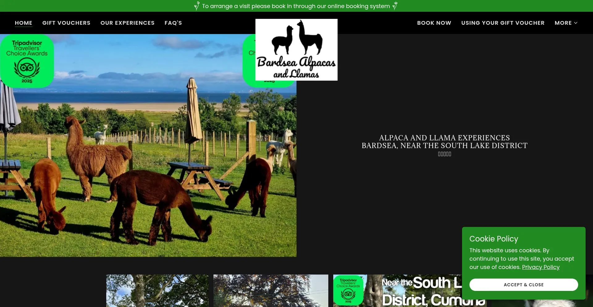 Bardsea-alpacas.co.uk é Seguro e Confiável?