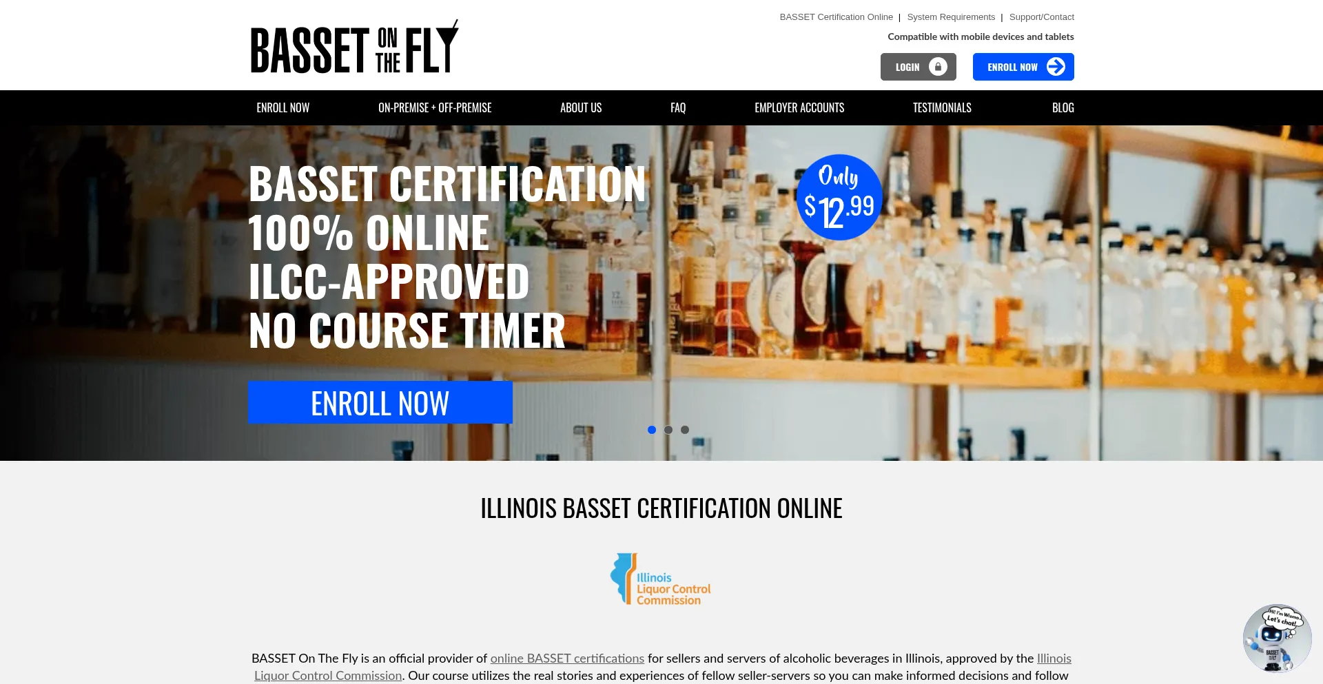 Website screenshot of Bassetonthefly.com